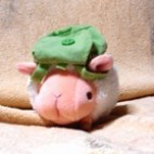 えりぃ